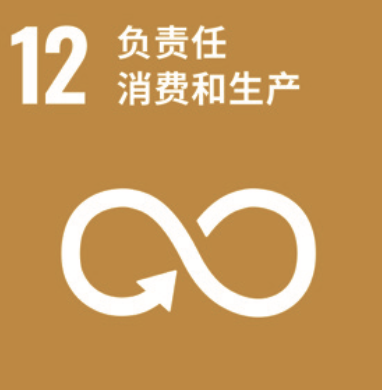 SDG 12 负责任消费和生产