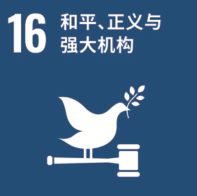 SDG 16 和平、正义与强大机构